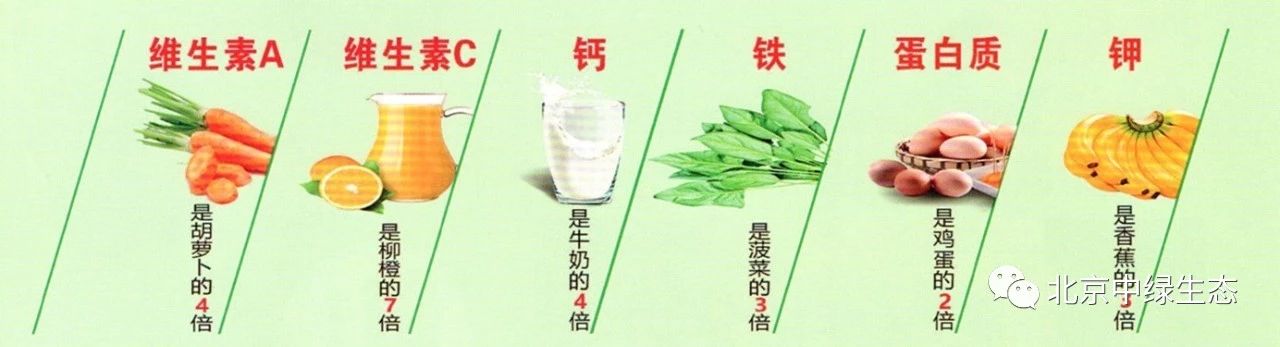 辣木酒.jpg 辣木酒.jpg