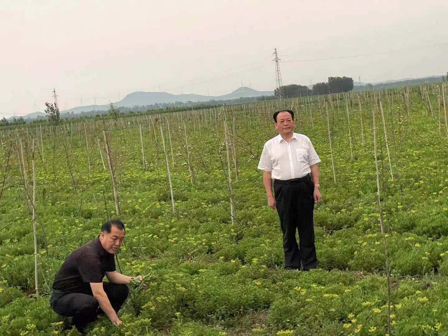 微信圖片_20210822144940.jpg 微信圖片_20210822144940.jpg